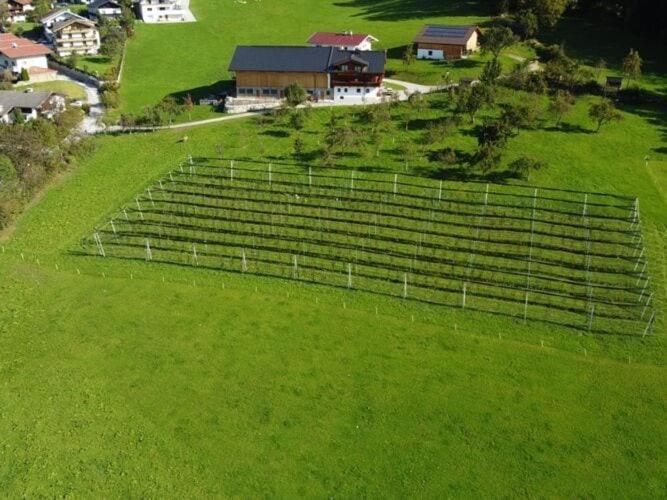 Holiday On An Organic Farm In Hart Im Zillertal Exteriör bild