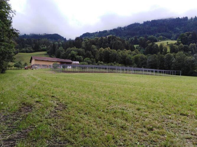 Holiday On An Organic Farm In Hart Im Zillertal Exteriör bild